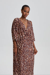 Adiel V-Neck Leopard Maxi Dress