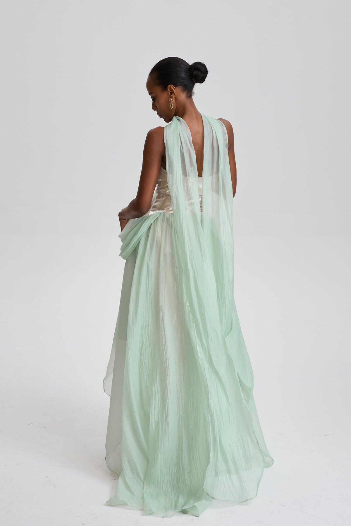 Zinnia Strapless Organza Maxi Dress