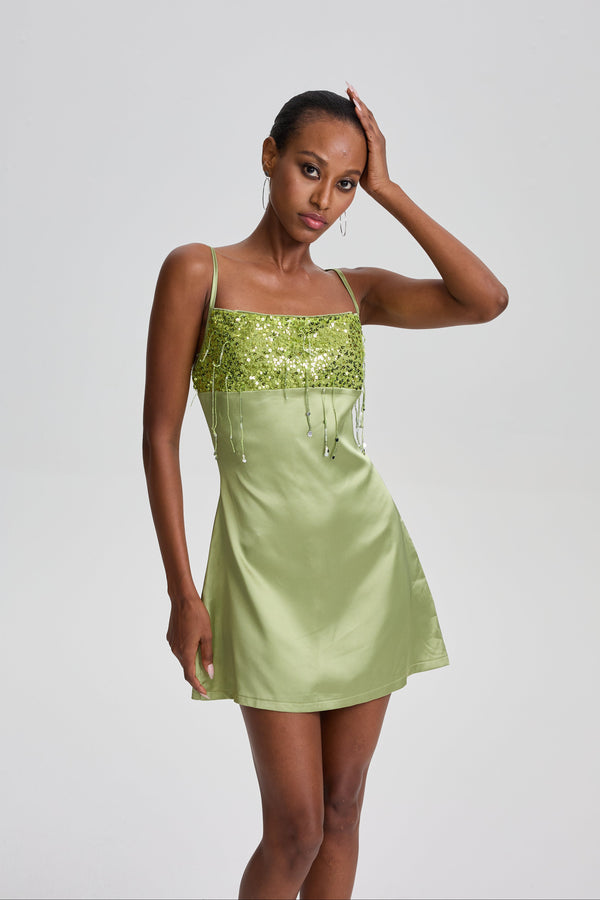 Haast Resort Yasmin Hand Beaded Mini Dress