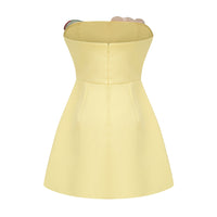 Beryndor Yellow Floral Embroidered Mini Dress