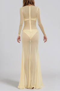 Élénos Cutout Draped Mesh Maxi Dress