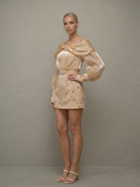 Zala gold crystal-embellished panelled mini dress