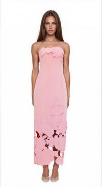 Ariza Pink Strapless Floral Embroidered Maxi Dress