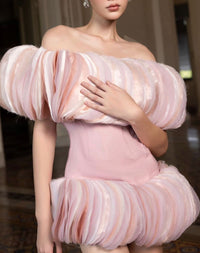 Rodiola Off-Shoulder Tulle Mini Dress