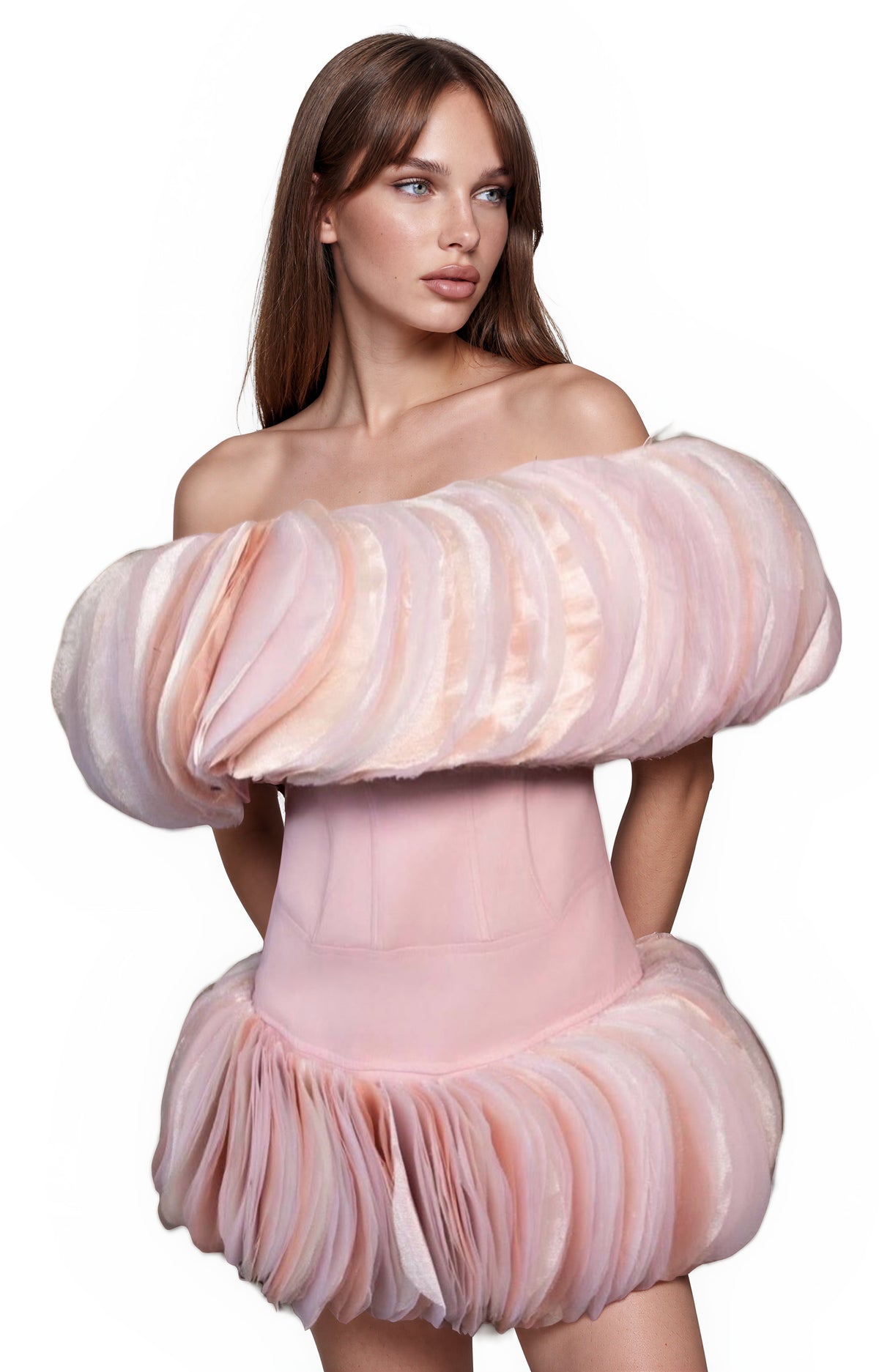 Rodiola Off-Shoulder Tulle Mini Dress