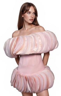 Rodiola Off-Shoulder Tulle Mini Dress