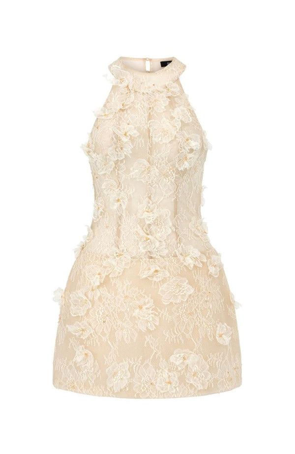 Fitzwilliam Aurelia Lace Dress in Beige